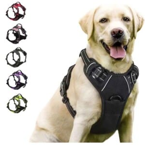 rabbitgoo No-Pull Dog Harness with adjustable straps, reflective vest, and top handle for large dogs