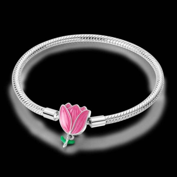 Silver-Plated Heart Charm Bracelet for Women – Stylish Gift - Image 25