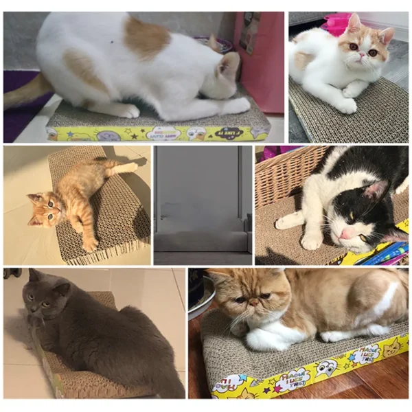 Fun & Healthy Cat Scratching Durable Scratch Pad | 2024 - Image 13