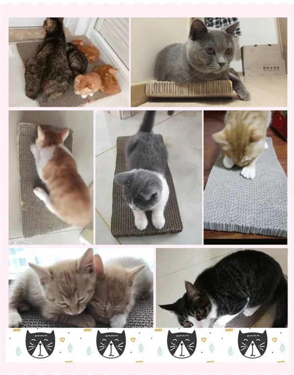 Fun & Healthy Cat Scratching Durable Scratch Pad | 2024 - Image 14